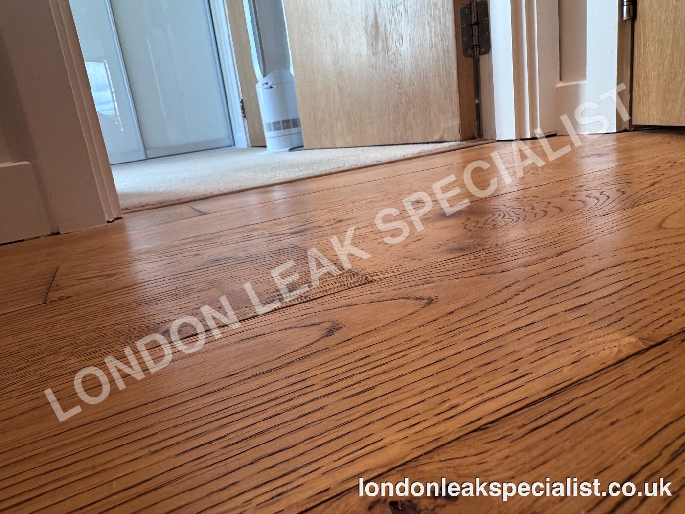 A timber floor in a hallway with a darker patch near the doorway, in a flat in Shepherds Bush, west London